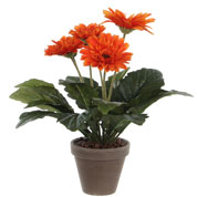 Planta Artificial - Gerbera Naranja - MICA